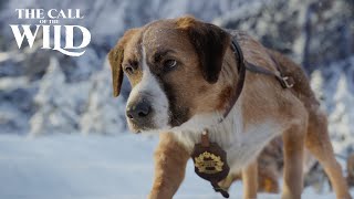 The Call of the Wild  New Lead Dog Clip [upl. by Aissila]