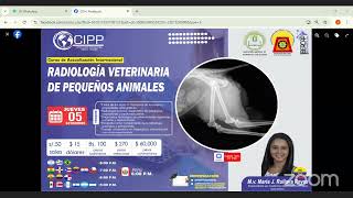 RADIOLOGÍA VETERINARIA DE PEQUEÑOS ANIMALES [upl. by Lemraj]