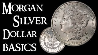 Morgan Silver Dollar Basics  Coin Collecting and Silver Stacking [upl. by Ardni]