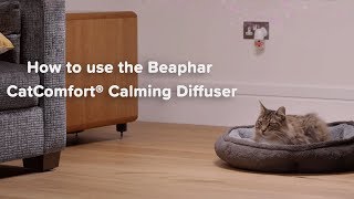 How to use the Beaphar CatComfort® Calming Diffuser [upl. by Rosalind260]