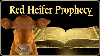 The Red Heifer [upl. by Chloe]