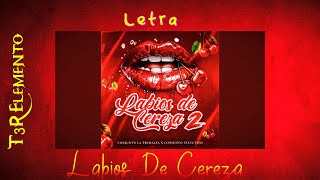 Labios De Cereza 2  T3R Elemento Video Lyrics [upl. by Tann]