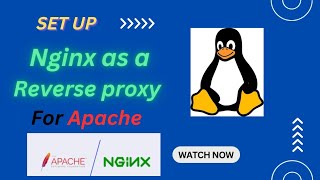 Setup Nginx as a Reverse proxy for Apache  Nginx  Apache  Linux  RHEL 9 [upl. by Ripleigh]