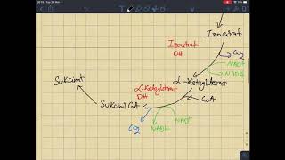 Cikli i Krebsit Krebs Cycle  Shqip [upl. by Aiken]