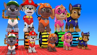 PAW Patrol  Choose The Right Color Wheel Fountain Crossing Mystery Max Level Challenge GAME [upl. by Aicylla974]