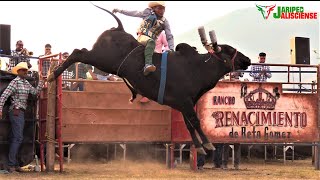 ¡EL ESPECTACULO DEL JARIPEO RANCHERO RANCHO EL RENACIMIENTO EN CHAMACUERO JAL [upl. by Arbmik19]