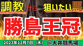 【勝島王冠 2023】今年は豪華メンバー南関馬の有馬記念？調教からおすすめしたい馬はこちら🏇【競馬予想】 [upl. by Melissa546]