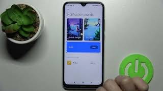 How to Mute Notifications Sound on XIAOMI Redmi Note 8 2021 [upl. by Eidak]