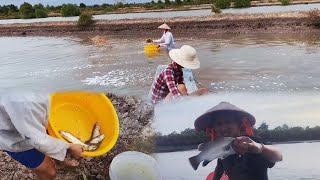 Traditional Fishing in Vietnams Mekong DeltaExploring the Rivers of the West  Tằm Viễn Farm Life [upl. by Xino998]