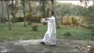 taoist walking meditation [upl. by Rochell]