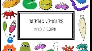 Enterobius Vermicularis [upl. by Terrye]