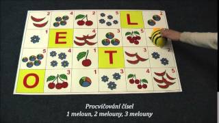 Včelka BeeBot [upl. by Joselyn]