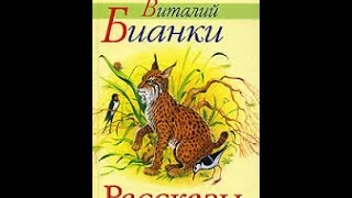 Снежная книга Бианки ВВ Аудиорассказ [upl. by Aksehcnarf]