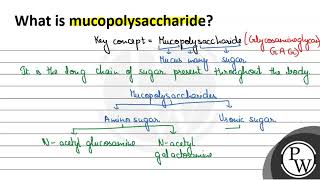 What is mucopolysaccharide W [upl. by Zarla629]