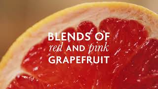 FeverTree Sparkling Pink Grapefruit amp Ingredient USA [upl. by Jemima999]