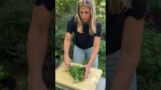 Stop 🛑Before you let all those herbs from your summer garden go to waste save this video garden [upl. by Asiek]