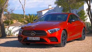 2019 MercedesBenz CLS 450 4MATIC “Dreamcar” [upl. by Anallese473]