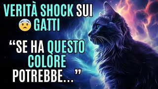 🐱SVELATA UNA VERITÀ SHOCK SUI GATTI IL SUO COLORE POTREBBE🐱  Psicologia Felina [upl. by Timothee457]