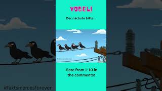 Vogel total elektrisiert von neuen Kollegen familyguythequestforstuff fyp familyguybirdistheword [upl. by Marieann]