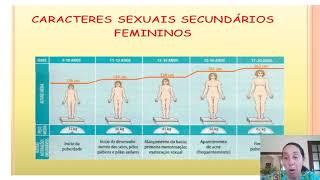 Puberdade masculina e feminina  Características sexuais secundárias 8º ano [upl. by Drawyah]