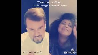 Tudo Que Se Quer 💘 Emílio Santiago e Verônica Sabino 💗 MusicaMpbBrasileira [upl. by Idnyc]