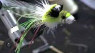 Tying a Dahlberg Diver  Part 4 [upl. by Otha218]