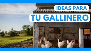 Las 26 MEJORES IDEAS para HACER GALLINEROS  TIPS CASEROS [upl. by Idnahk241]