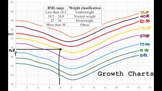 BMI and growth charts Gr11amp 12 Maths Lit [upl. by Maren]