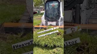 First Time Using A Bobcat Skid Steer skidsteer bobcat builder howto viralshort diy lilwayne [upl. by Yseulte536]