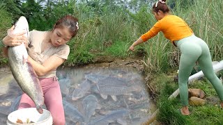 Full Video Daily Life Fishing How To Fishing in The Wild Harvesting Many Big Fish  Fishing Girl [upl. by Ayatal605]