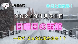 北海道函館 ２０２４年１月２１日 日曜日の函館 函館 函館観光 北海道函館 北海道 hakodate hokkaido [upl. by Laure155]