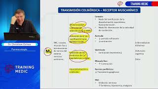 19 Farmacología Agonistas Y Antagonistas De Los Receptores Muscarínicos [upl. by Rachel]