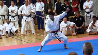 6th World Cup KWF Kata Masamichi Otsuka Round 2 [upl. by Reeher]