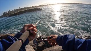 Fishing at kingscliff [upl. by Odine338]