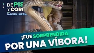 Niña abre ropero y es mordida por una víbora de cascabel en CDMX  DPC con Nacho Lozano [upl. by Reynolds]