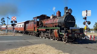 C17 974  Jumpers and Jazz Steam Train to Hendon and Wheatvale  29072023 [upl. by Aniryt]