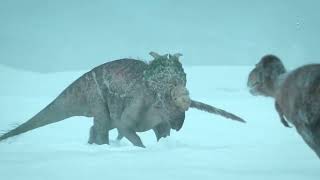 Prehistoric Planet Nanuqsaurus gang hunt Pachyrhinosaurus during a blizzard  Apple TV [upl. by Pliner]