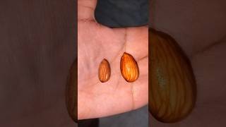 Difference between raw almond and Soaked Almond almond soak viral [upl. by Rorry]