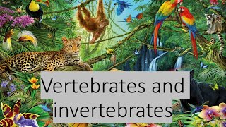 Vertebrates and invertebrates Grade 07 [upl. by Easlehc351]