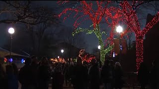 A la venta los boletos para ZooLights en el Zoológico de Lincoln Park [upl. by Anaicul]