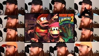 Donkey Kong Country 2  Stickerbrush Symphony Acapella [upl. by Verras]