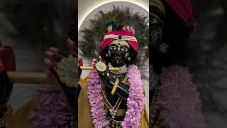 Shyama aan baso 🤍🩷 statusvideo radhakrishna viralshort [upl. by Lachman]