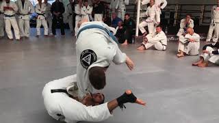 Rener Gracie rolling with a soon to be purplebelt [upl. by Naro]