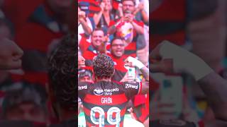 Gabigol vs galo flamengo edits atleticomineiro futebol [upl. by Kcerb]