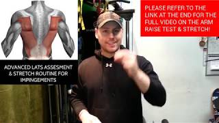 Advanced Arm Raise Test amp Stretch Routine FIX SHOULDER IMPINGEMENTS [upl. by Absalom368]