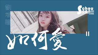 劉增瞳  如何愛「為什麼還要說這句離開。」歌詞版 [upl. by Kery]