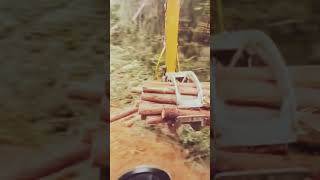 Wow  Skillful Excavator Driver [upl. by Matthei]