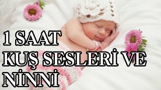 1 saat ninni  kuş sesi ve DANDİNİ DASTANA ile bebekler uyuyor  uyutma garantili  yeni [upl. by Assenna]