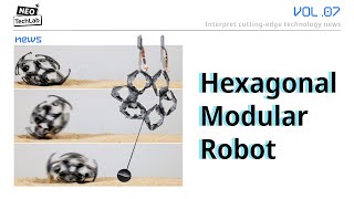 Hexagonal Electrohydraulic HEXEL Modules HighSpeed Robot [upl. by Khajeh]