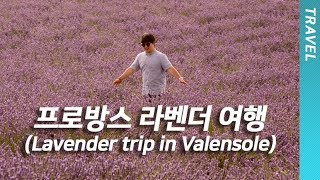 프랑스 남부 엑상 프로방스 발렁솔 라벤더 투어 Lavender trip in Valensole Vlog [upl. by Adnorrahs]